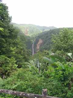 chutes du carbet foret humide �cosysteme tropical antilles