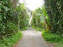 all�e, balade, saut matouba, basse terre, guadeloupe, antilles