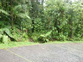 balade grosse corde d&eacute;part foret humide guadeloupe