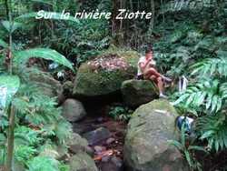 balade, dos d`ane, basse terre, guadeloupe, antilles