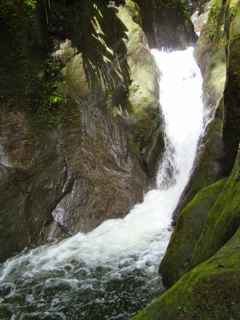 balade rivi&egrave;re grosse corde saut foret humide tropicale basse terre gaudeloupe