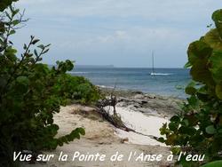 vue anse &agrave; l`eau, pointe des chateaux, guadeloupe